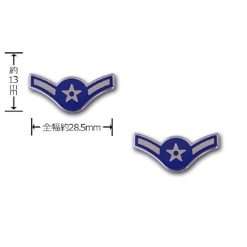 米軍実物未使用品 アメリカ空軍警備隊章 セキュリティポリス バッジ 識別章 徽章 IMG_4591.jpg?resize=300,200&ssl=1